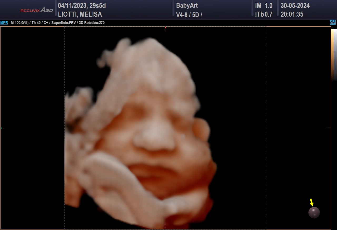 JULIA DE MELISA LIOTTI_0048.JPG